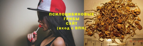 тгк Новодвинск