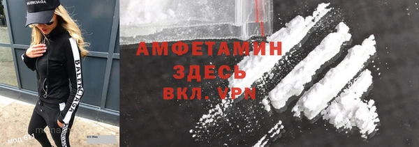 молекула духа Новозыбков