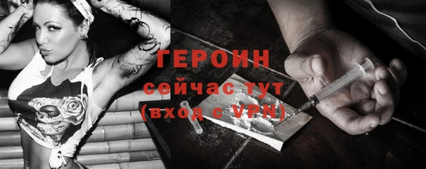 молекула духа Новозыбков