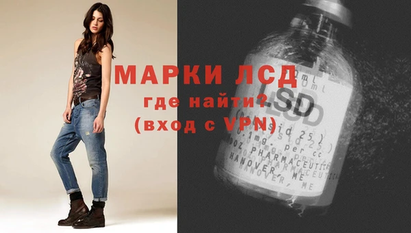 молекула духа Новозыбков