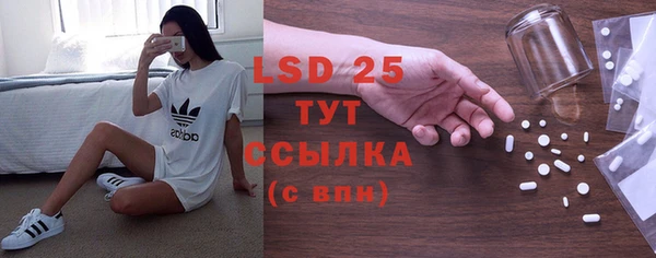 тгк Новодвинск