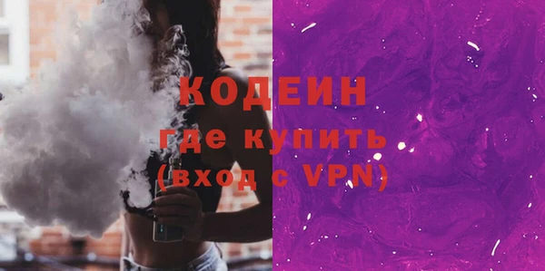 молекула духа Новозыбков