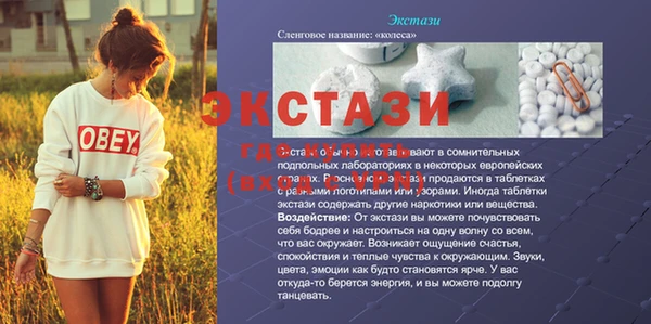 молекула духа Новозыбков