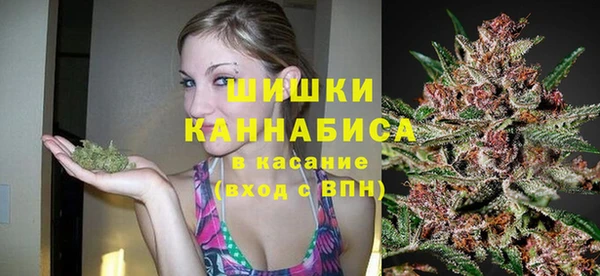 молекула духа Новозыбков