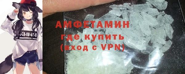 молекула духа Новозыбков