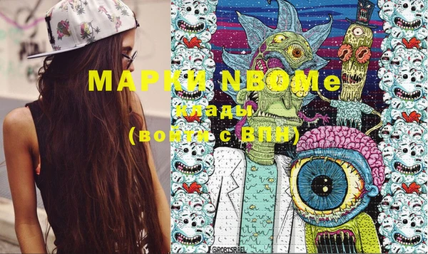 тгк Новодвинск