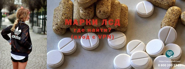молекула духа Новозыбков