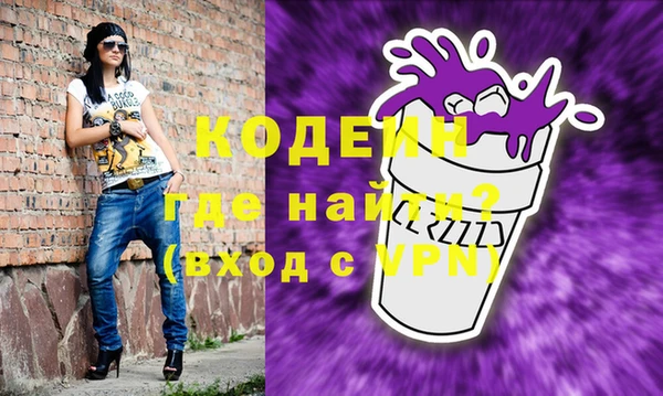 молекула духа Новозыбков