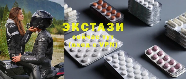 молекула духа Новозыбков
