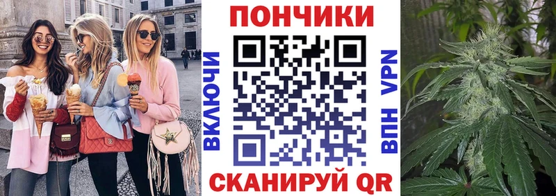где купить наркоту  Куровское  Бошки Шишки Amnesia 